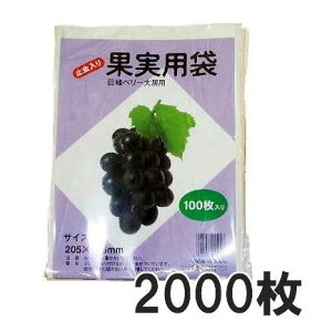 (p2000) ʎ| ʎ () 205×295mm x[[p 100×20 jt _ CNK |@llI