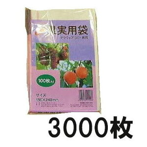 (p3000) ʎ| ʎ () 150×240mm fEFAp 100×30 jt _ CNK |@llI