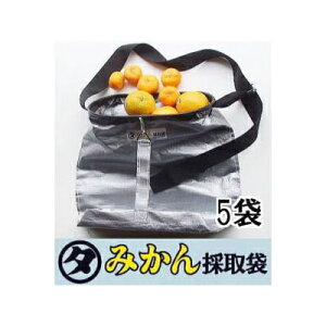 { }^ ݂̎ ʎn (p5܃Zbg) Lxg݂̏W ʎn ʎ̏W ꔲ Yi