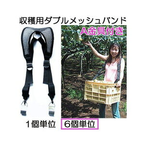 (6Zbg) noh At np _ubVoh Reioh ݂艺p@ogih