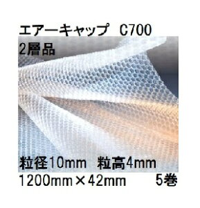 (p5Zbg) 䉻wH  GA[Lbv (2wi) |G` CAɏՍ C700 (1200mm×42m a10mm)×5 (402S) (@lA^ЉcƏI) [~ipbN  돤X]@yuas