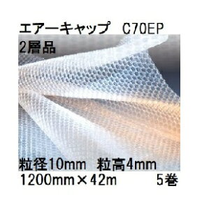 (p5Zbg) 䉻wH  GA[Lbv (2wi) |G` (F:sN)CAɏՍ C70EP (1200mm×42m a10mm)×5 (402SEP)(@lA^ЉcƏI) [~ipbN  