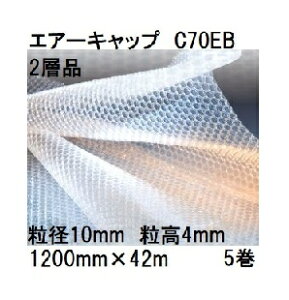 (p5Zbg) 䉻wH  GA[Lbv (2wi) |G` (F:u[) CAɏՍ C70EB (1200mm×42m a10mm)×5 (402SEB) (@lA^ЉcƏI) [v`v` ~ipb
