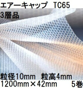 (p5Zbg) 䉻wH  GA[Lbv (3wi) |G` CAɏՍ TC65 (1200mm×42m a10mm)×5 (@lA^ЉcƏ I) [v`v` ~ipbN  돤X]@