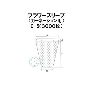 (3000) V E t[X[u (J[l[Vp) C-5 #25 350/205×350+50 ԑ[_@ _ 돤X]