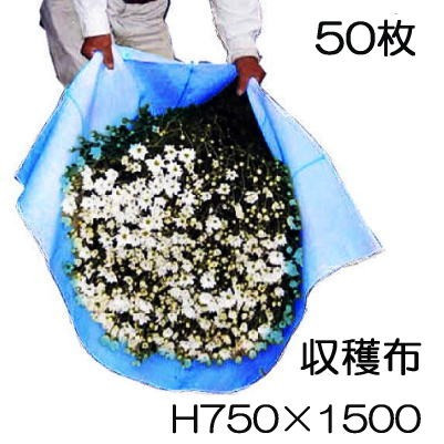 (50枚セット) 収穫袋 収穫布 ベンリークロス H750×1500 ブルー ネギマキネット (法人限定 送料無料) 大紀産業 | 瀧商店