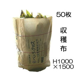 (50枚セット) 収穫袋 収穫布 ベンリークロス H1000×1500 色ベージュ ネギマキネット (法人限定 送料無料) 大紀産業
