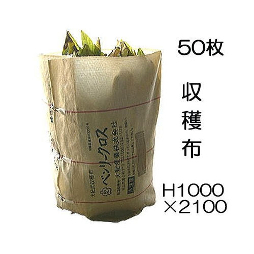 (50枚セット) 収穫袋 収穫布 ベンリークロス H1000×2100 色ベージュ ネギマキネット (法人限定 送料無料) 大紀産業 | 瀧商店