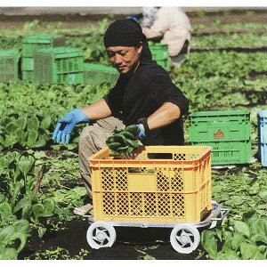 (lzOK) nbNX A~n ؍ CH-20H (u) Ᏸu^Cv@zs