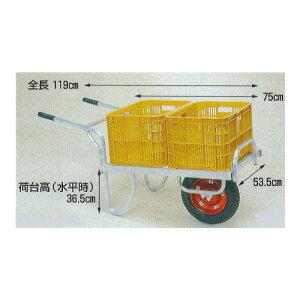 nbNX R CN-40D (@llI) A~ ^֎ u[LmGA[^C (TR-13×3T)Rei2ύډ\ 돤Xn@llI