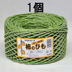 ݂`p `̂Ђ 170m P~JE[v `@zs