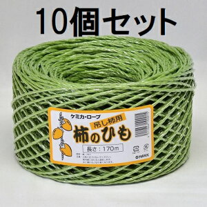 (10Zbg) ݂`p `̂Ђ 170m P~JE[v `@zs