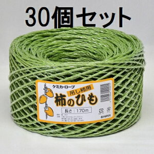 (p30Zbg) ݂`p `̂Ђ 170m P~JE[v `@zs