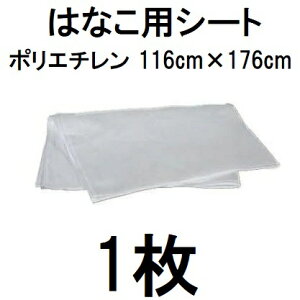 (lzOK) nbNX Ԃ̎n ͂ȂpV[g 116×176cm 1  AH-ST@zs