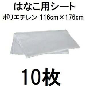 (10Zbg) nbNX Ԃ̎n ͂ȂpV[g 116×176cm  AH-ST (lzOK) @zs