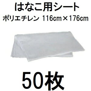 (50Zbg) nbNX Ԃ̎n ͂ȂpV[g 116×176cm  AH-ST (lzOK) @zs