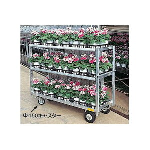 nbNX bNXJ[S RC-B3 2փGA[^C (TR-2.50×4A) E2փLX^[ (Xgbp[t) A~ tR t[ (@llI)