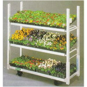 t[J[S ND-1615N 4֎݌^ JH |@ll