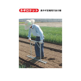 ハラックス 長ネギ定植用穴あけ器 ネギロケット1条植タイプ N-130S-19 (20本)(φ19ピン 長さ13cm 重量2.5kg) 法人個人選択