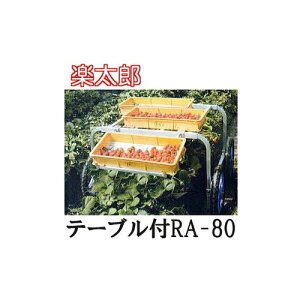 nbNX yY RA-80(e[ut) m[pN^C A~ n(@llI)