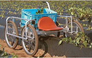 nbNX A~ pAtƎ iGbR NKS-1100 (@llI)