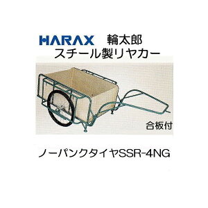 (@llŊvܐi撆) nbNX X`[J[ X`[ J[ SSR-4NG plt ͂E^Cim[pN/GA[jI