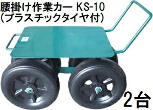 (p2Zbg) |ƃJ[ (vX`bN^Ct) KS-10 | ƈ֎q _ AINO@zs