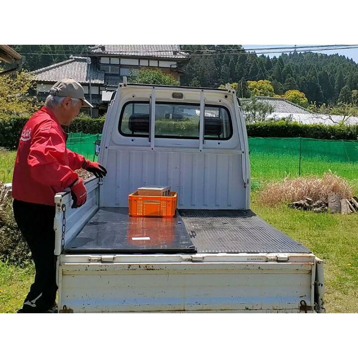 楽天市場】荷台タフガード 軽トラ用 1セット4枚入(4枚で1台分) 軽 