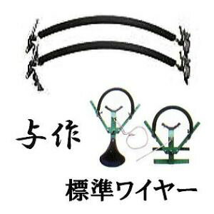 Sؓo ^p WC[ 2{g (C[̂) YX-2 aR[|[V