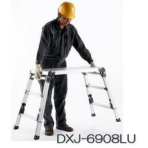 sJ R[|CV lrAWXg DXJ-6908A Vo[ (lϕi) yuas