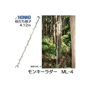 L[_[ ML-4 S4.12m A~ }ł͂ 2{A }łq (@lor cƏ) lzs {G쏊