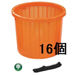 (16Zbg) AZbVی^n  xgt IW nU { S (@l/lI) m̏W 돤Xn