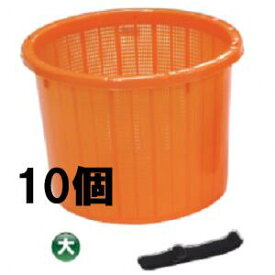 (10個セット) 日本製 AZ メッシュ 丸型収穫かご 大 ベルト付 オレンジ 収穫篭 (法人/個人 選択) ［採集箱 瀧商店］