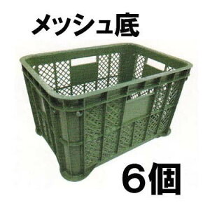 (iE׎̏o) (6Zbg) AZ̏WRei ΐF bV 2.0 ݂Rei[ { S (@l/lI)m̏W 돤Xn