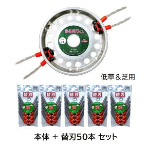 ܂銠肭{NX^hSjr.(ᑐŗp֐n)50{Zbg \uVn vpiCR[hgp  zm ^[pbN