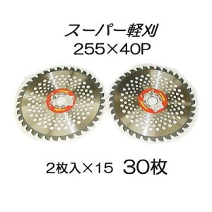 (30Zbg) y @p`bv\[ X[p[JK[ y 255×40P 2×15(30g) ACEbh