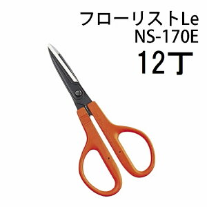 (12Zbg) ߐ t[XgLe 炩nh NS-170E \ uX^[pbN `J}T@(zmA21)
