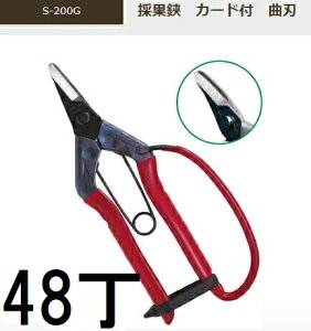 (48�{�Z�b�g����� �W���) �ߐ� �̉��� �J�[�h�t �Ȑn S-200G �m���n�� �Ȑn ���n �`�J�}�T�n�@(zmA70)