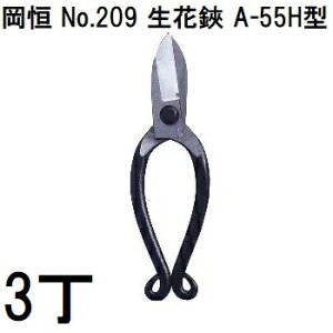 (p3Zbg) P  A-55H^ No.209IJcl (䂤pPbg)