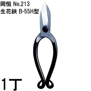 P  jؕt B-55H^ No.213 IJcl (䂤pPbg)