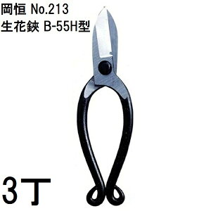 (p3Zbg) P  jؕt B-55H^ No.213 IJcl (䂤pPbg)