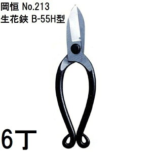 (6Zbg) P  jؕt B-55H^ No.213 IJcl (^[pbNor쓙)