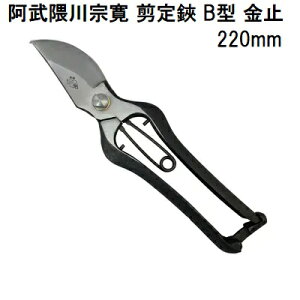 (IYi K) G@ No.107  B^ ~ 220mm () c {M ({ G@nH) (lR|X s) (zmB1)