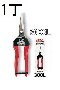 ARS (AX) E O^Cv () 300L (䂤pPbg)