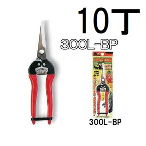 (10{Zbg) ARS (AX) E O^Cv 300L-BP uX^[pbN (쓙or^[pbN)@(zmA11j