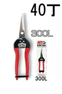 (40�{�Z�b�g) ARS (�A���X) �E���� �����O�^�C�v 300L �����@(zmA60�j