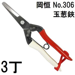 (3{Zbg) P ʔK No.306 [IJcl 돤X] ʂ˂ (lR|X)@(zmA12)