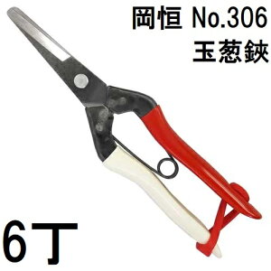 (p6{Zbg) P ʔK No.306 [IJcl 돤X] ʂ˂ (䂤pPbg)@(zmA12)