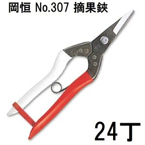 y 24 { g    z P E No.307 () [ōn| ؂ IJcl 돤X]@(zm)