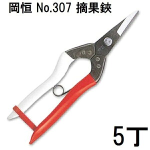 y 5 { Z bg   z P E No.307 uX^[ [Ԃǂ Ȃ  ʎ ؂ IJcl 돤X] (^[pbNor쓙)@(zm)